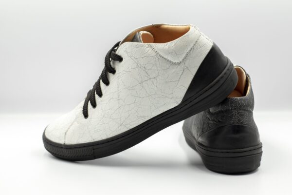 Delta limitált modellek - Image 4