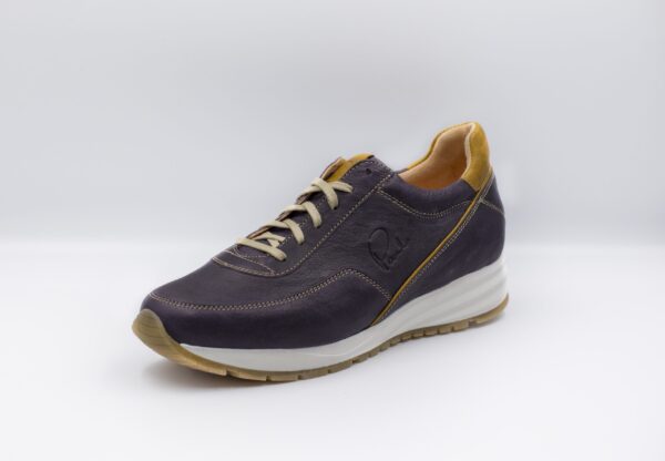 Gamma yellow line - Image 5